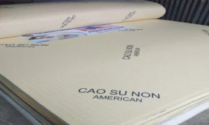 Nệm cao su non American có kích thước đa dạng, đáp ứng được mọi nhu cầu của người sử dụng.